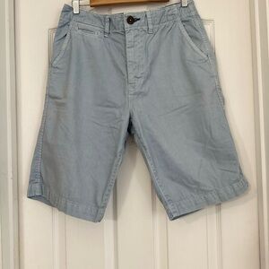 American Eagle Outfitters Blue Flat Front Shorts